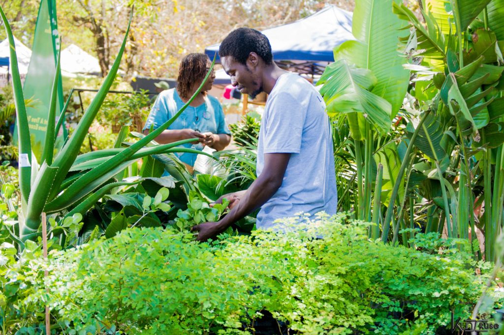 WhatsApp Image 2025-02-08 at 11.12.25 (2)