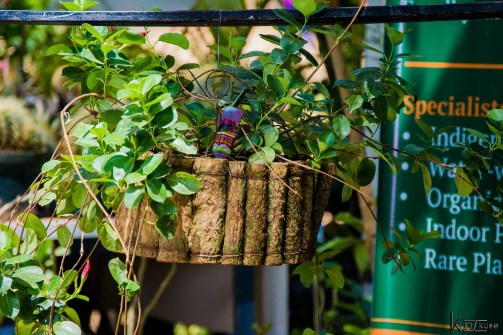 WhatsApp Image 2025-02-08 at 11.12.25 (3)