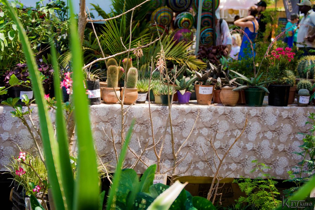 WhatsApp Image 2025-02-08 at 11.12.25 (4)