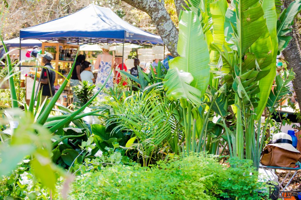 WhatsApp Image 2025-02-08 at 11.12.26 (1)