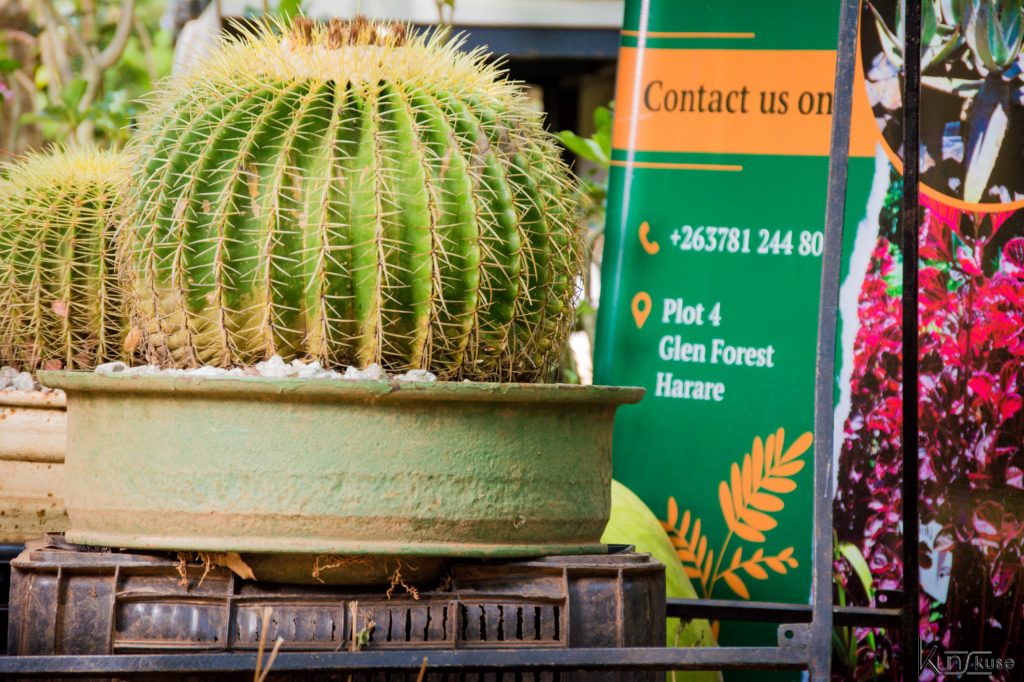 WhatsApp Image 2025-02-08 at 11.12.29 (1)