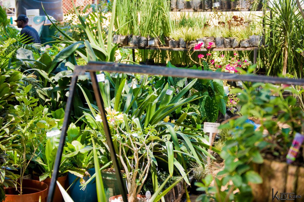 WhatsApp Image 2025-02-08 at 11.12.29 (2)